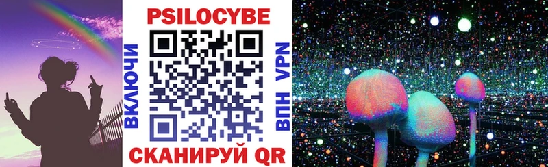 Псилоцибиновые грибы Psilocybe мега Сибай